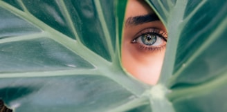 woman peeking over green leaf plant taken at daytime