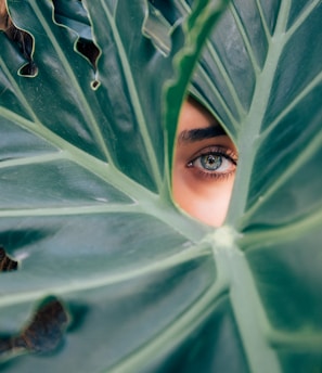 woman peeking over green leaf plant taken at daytime