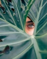 woman peeking over green leaf plant taken at daytime