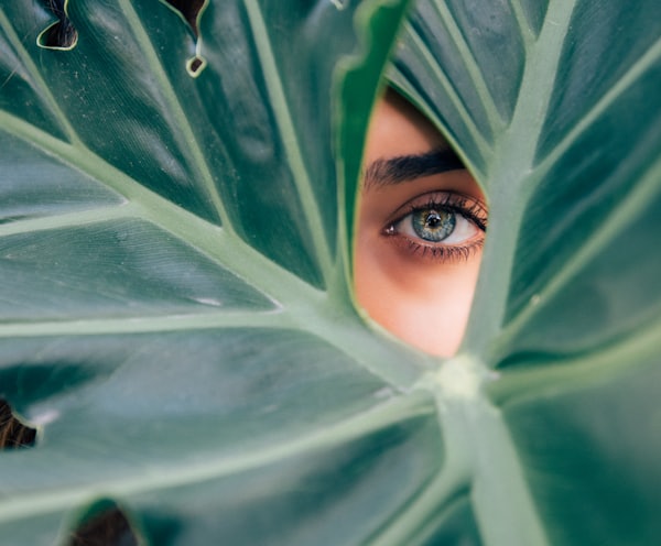 woman peeking over green leaf plant taken at daytime