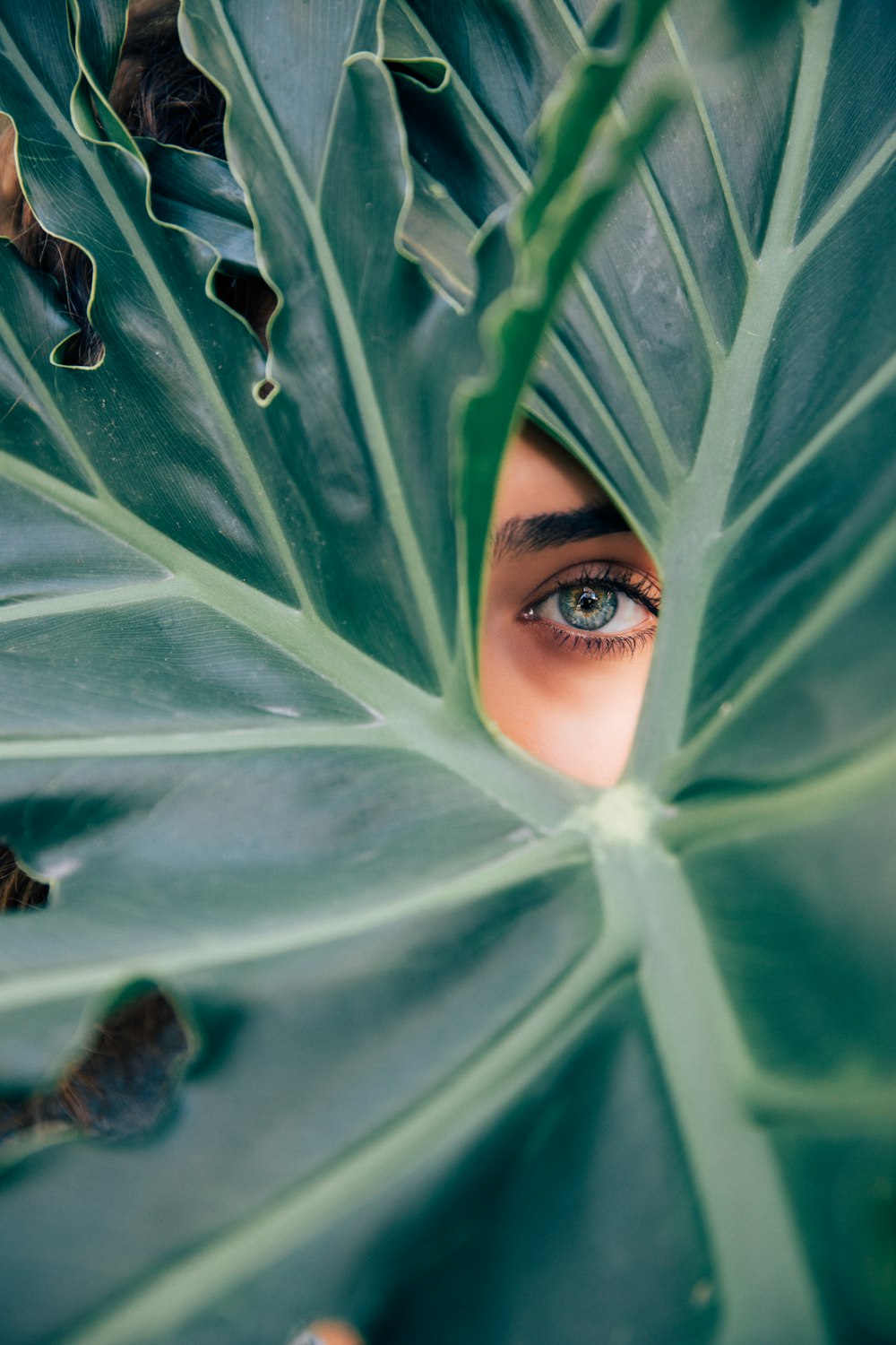 woman peeking over green leaf plant taken at daytime