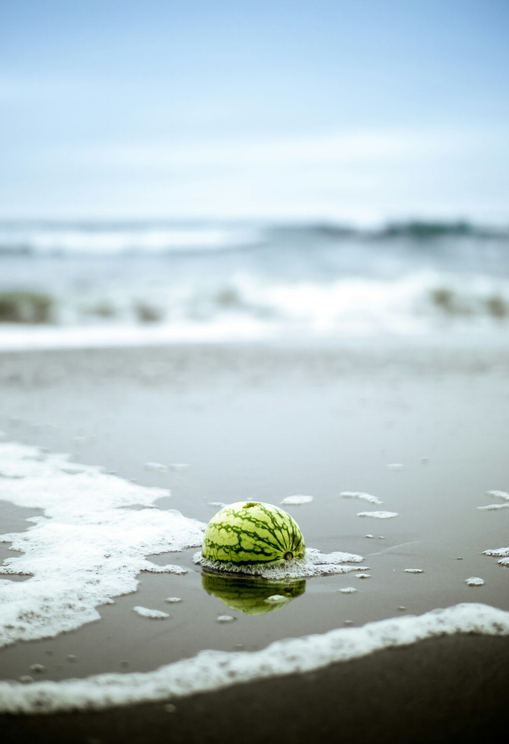 shallow focus photography of watermelon on body of water