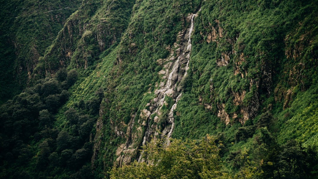 travelers stories about Forest in Huehuetenango Department, Guatemala