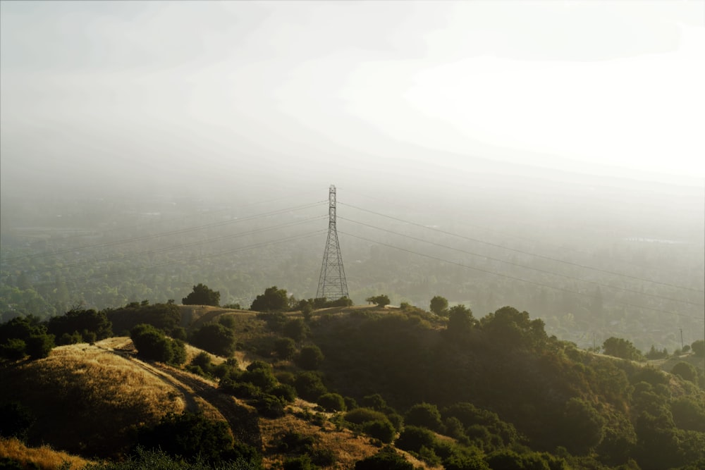 metal electric tower surrounded by trees during daytime