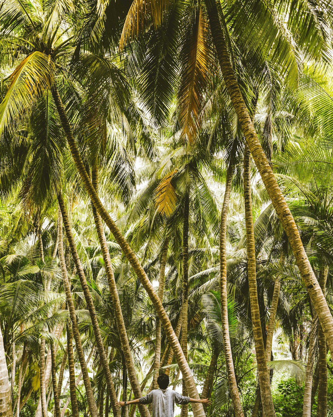 photo of Gaadhiffushi Forest near Kinbidhoo