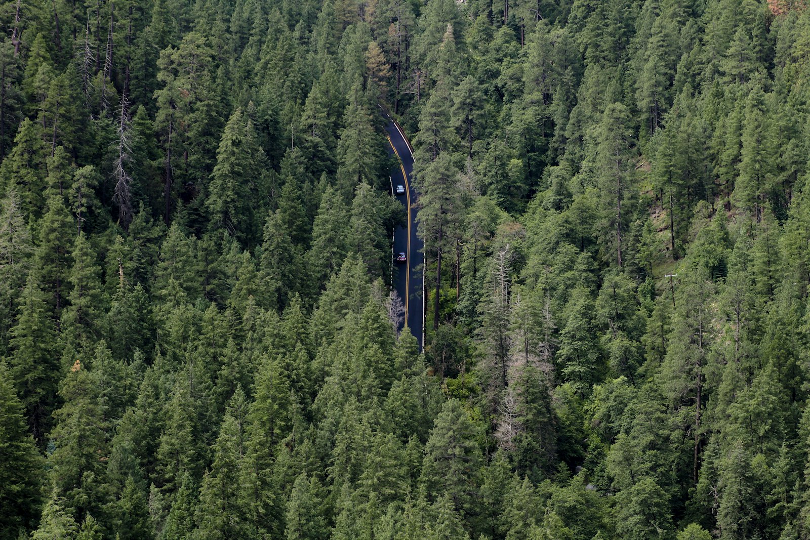 Canon EOS 1300D (EOS Rebel T6 / EOS Kiss X80) + Canon EF 75-300mm f/4-5.6 sample photo. Aerial view of forest photography