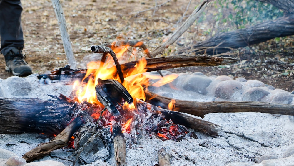 personne debout devant du bois de chauffage brûlant sur le sol