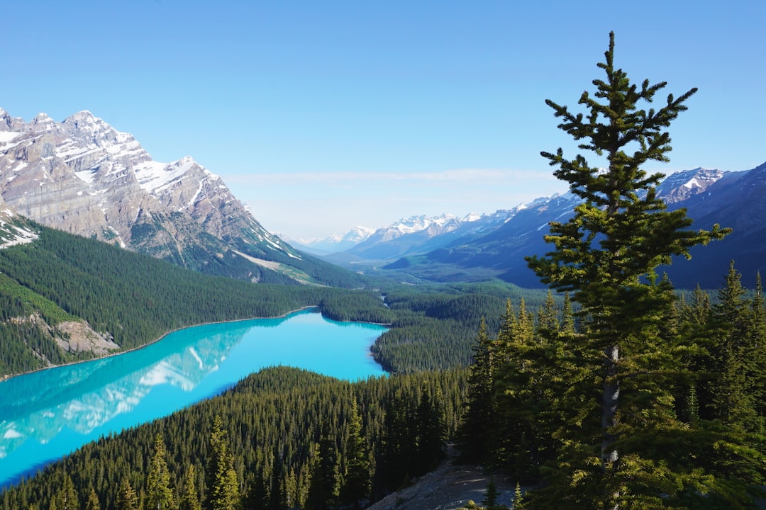 Hill station photo spot Peyto Lake Clearwater County