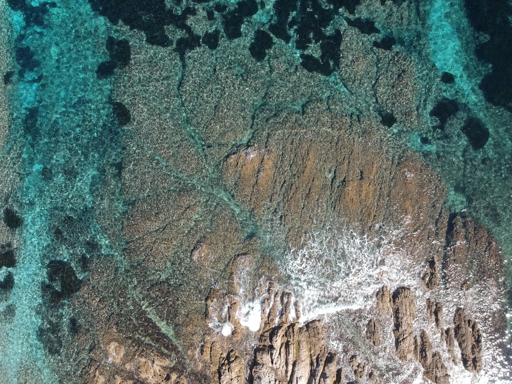 緑と茶色の土地の航空写真