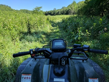 A view from the rider's perspective on an all-terrain vehicle (ATV) facing a narrow, grassy path. Lush green plants and trees surround the area under a clear blue sky, creating a sense of adventure in a natural setting.