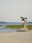 A serene beach scene with a lifeguard stand topped with a blue and white umbrella. An inflatable boat is placed nearby on the sandy beach. In the background, calm water meets green grass and a distant tree-lined shore.