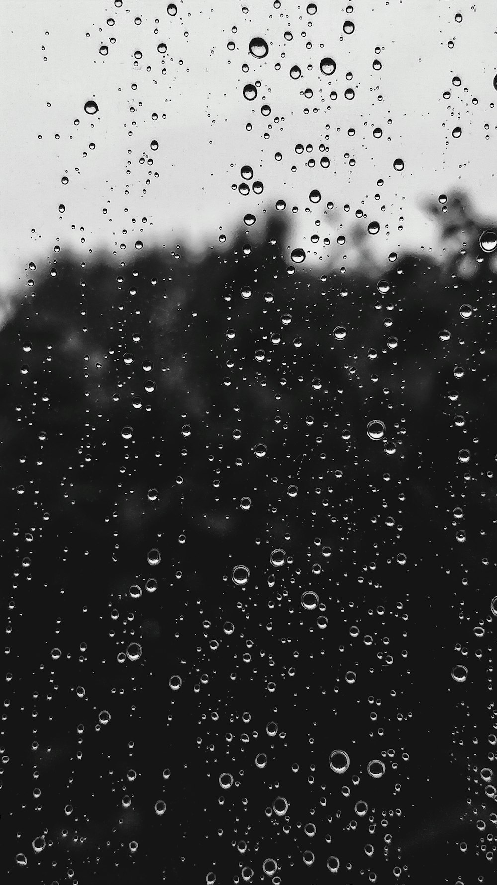 30,000+ Black And White Rain Pictures | Download Free Images on ...