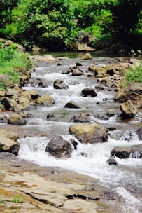Illustration of a calm stream symbolizing the 'Hello World' phase.