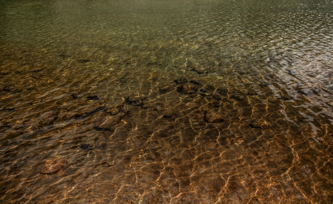 body of water during daytime