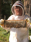 A person wearing a beekeeping suit, including a protective hat and veil, is holding a frame covered in bees. The background includes trees and greenery, suggesting an outdoor apiary setting. The person's face is visible behind glasses, and they appear to be smiling.