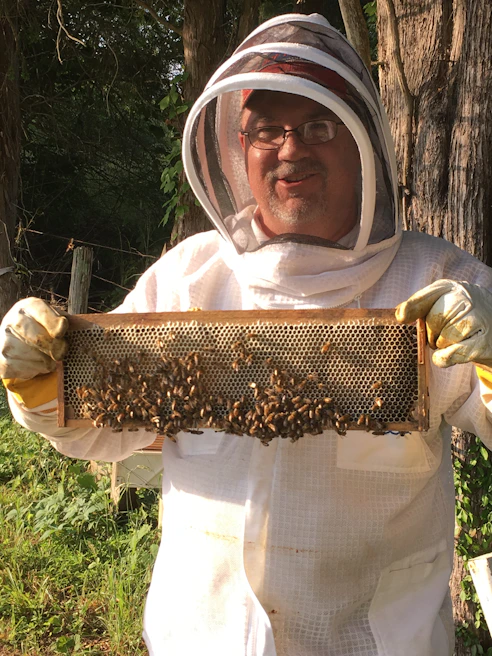 A beekeeper wearing a full protective safety suit standing in a sunlit apiary surrounded by hives