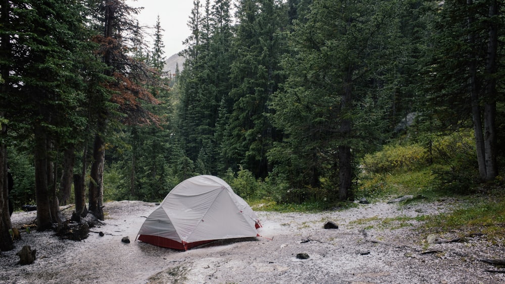 tenda grigia accanto al lago circondata da alberi