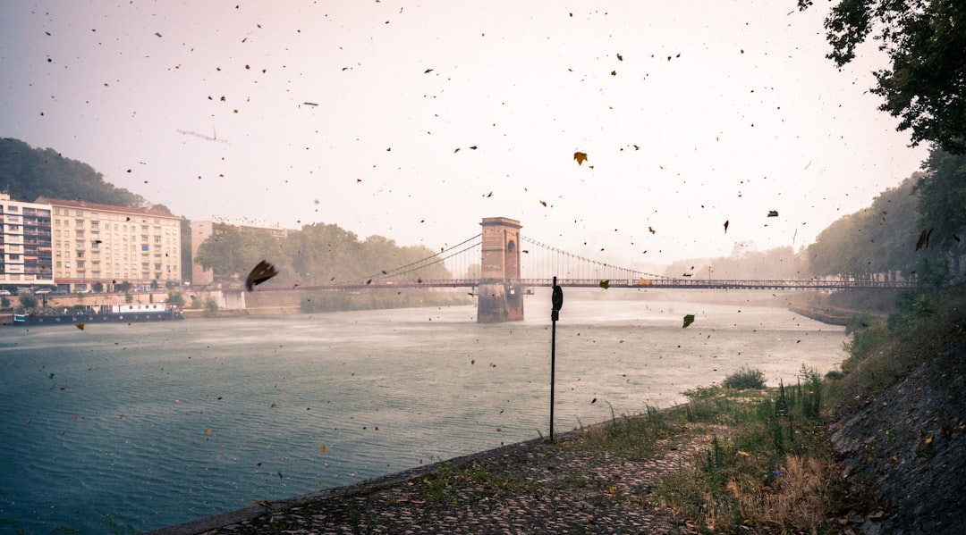 Suspension bridge photo spot Vaise Vienne