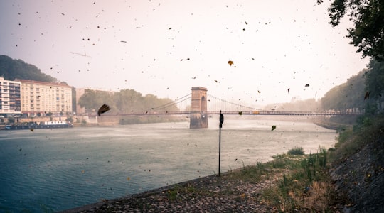 bridge across body of water near white building during daytime in Vaise France