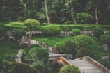A serene garden landscape characterized by well-manicured bushes and trees, arranged in a harmonious manner with natural wooden elements marking pathways. The lush greenery is abundant, contributing to the tranquil atmosphere. Stone elements complement the natural aesthetic, and the area is surrounded by dense woods.