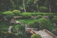 A serene garden landscape characterized by well-manicured bushes and trees, arranged in a harmonious manner with natural wooden elements marking pathways. The lush greenery is abundant, contributing to the tranquil atmosphere. Stone elements complement the natural aesthetic, and the area is surrounded by dense woods.