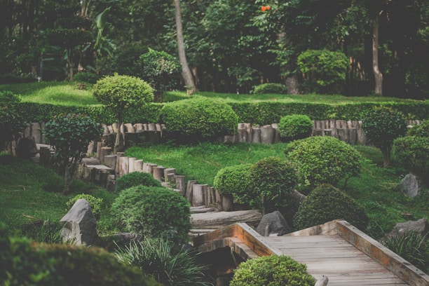 A serene garden landscape characterized by well-manicured bushes and trees, arranged in a harmonious manner with natural wooden elements marking pathways. The lush greenery is abundant, contributing to the tranquil atmosphere. Stone elements complement the natural aesthetic, and the area is surrounded by dense woods.