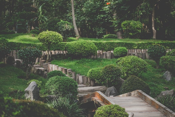 A serene garden landscape characterized by well-manicured bushes and trees, arranged in a harmonious manner with natural wooden elements marking pathways. The lush greenery is abundant, contributing to the tranquil atmosphere. Stone elements complement the natural aesthetic, and the area is surrounded by dense woods.
