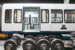 white and black train