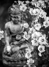 A serene Buddha statue surrounded by blooming lotus flowers, symbolizing spiritual growth and harmony.