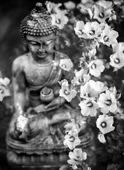 A serene statue of Avalokitesvara surrounded by blooming lotus flowers under soft morning light
