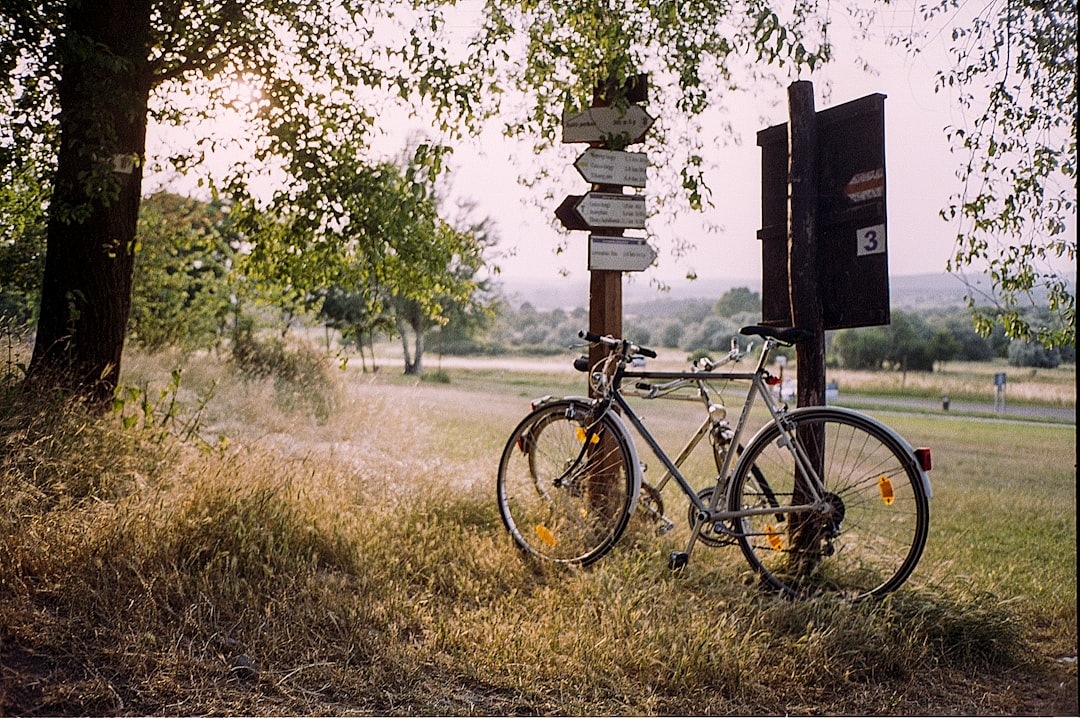 Vélo électrique Btwin en pleine nature