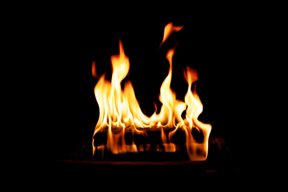 fire on firepit photo – Free Fire Image on Unsplash