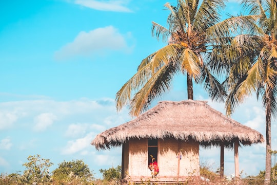 brown wooden house near coconut tree during daytime in Lombok Indonesia