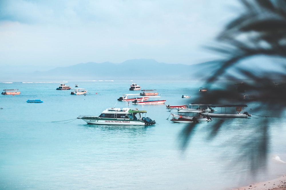 barcos em águas calmas durante o dia