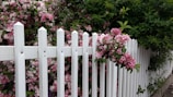 A white vinyl fence lining a sunny front yard with blooming flowers.