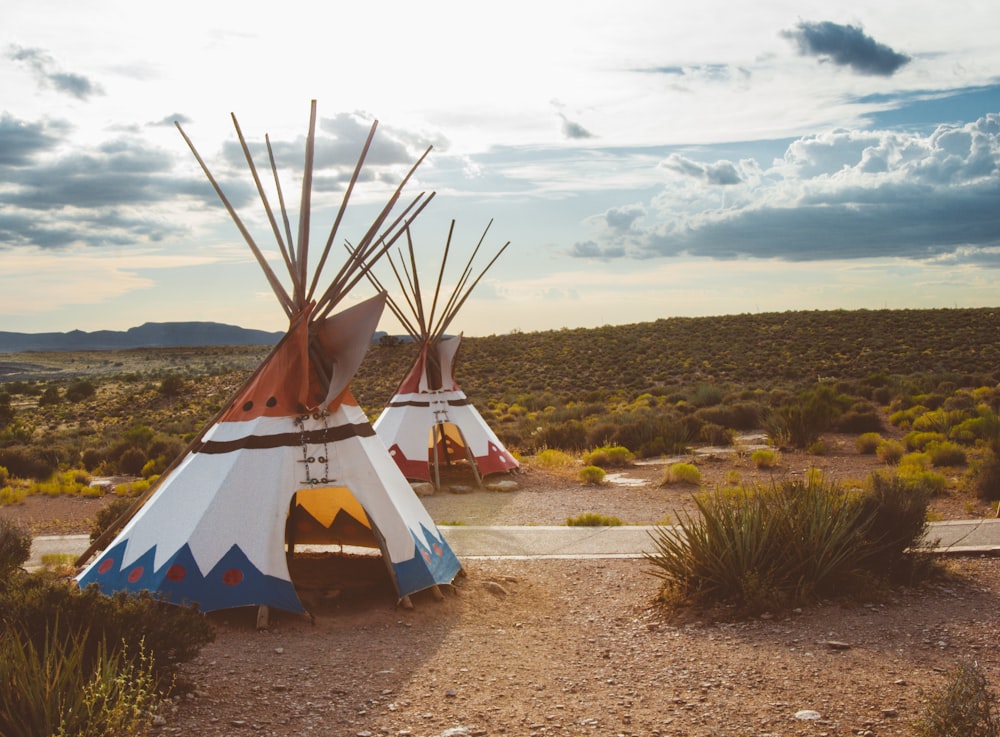 two white-blue-and-red teepee tents surrounded by green plants