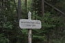 gray wooden road signage in forest