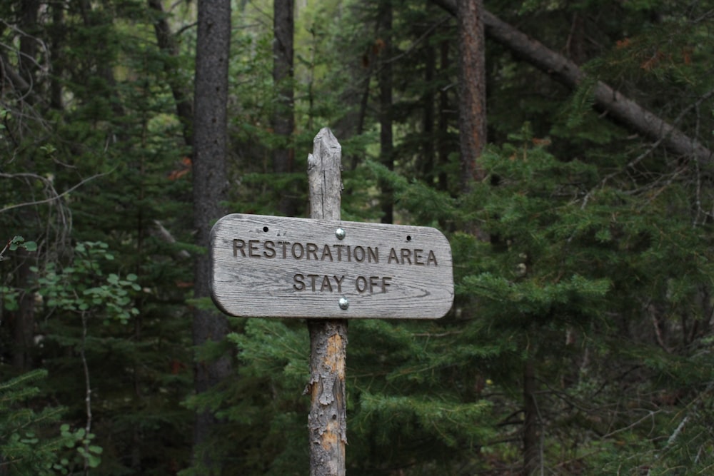 Signalisation routière en bois gris dans la forêt