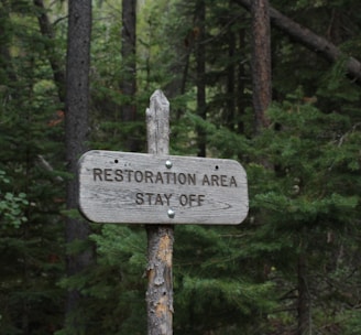 gray wooden road signage in forest