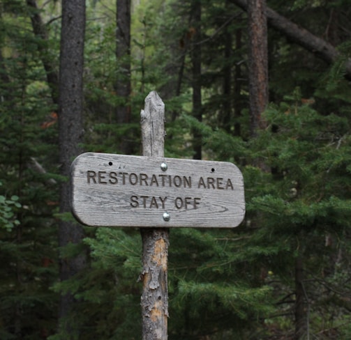 gray wooden road signage in forest