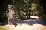 A welcoming carved wooden sign featuring the word 'Welcome' stands on a tree stump next to a path that leads through a lush forest area. Above the sign, there is a green directional sign with the word 'Waterfront' and an arrow pointing the way.