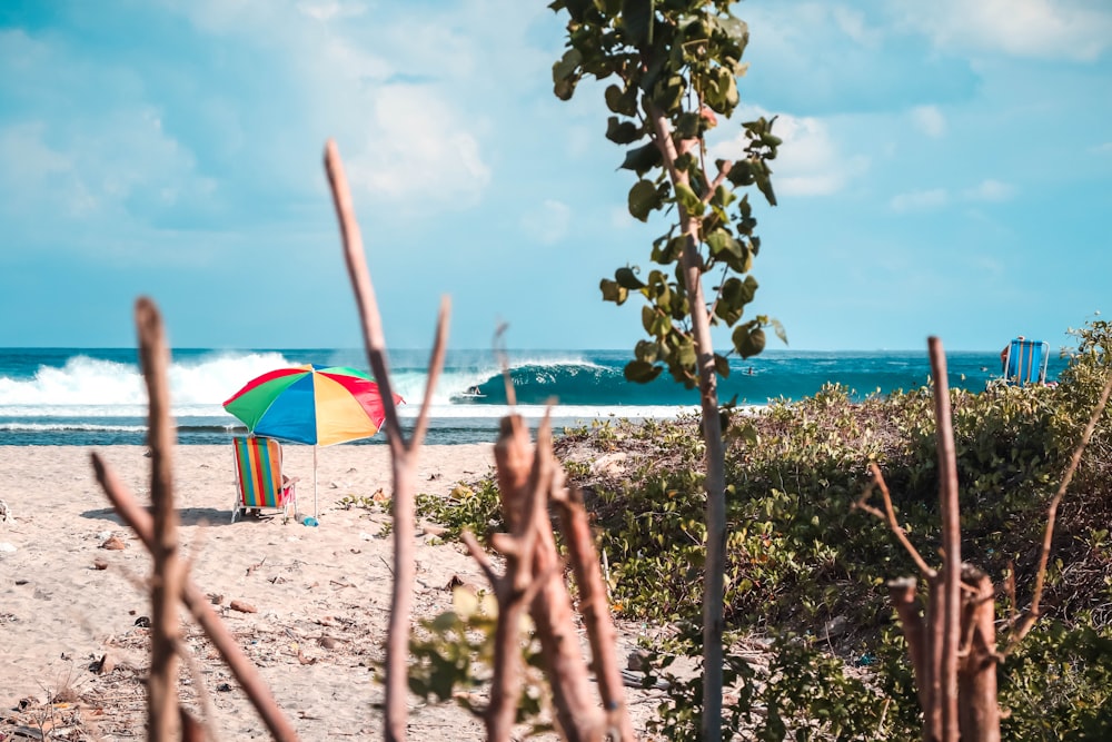 red, yellow, blue, and green parasol on seashore