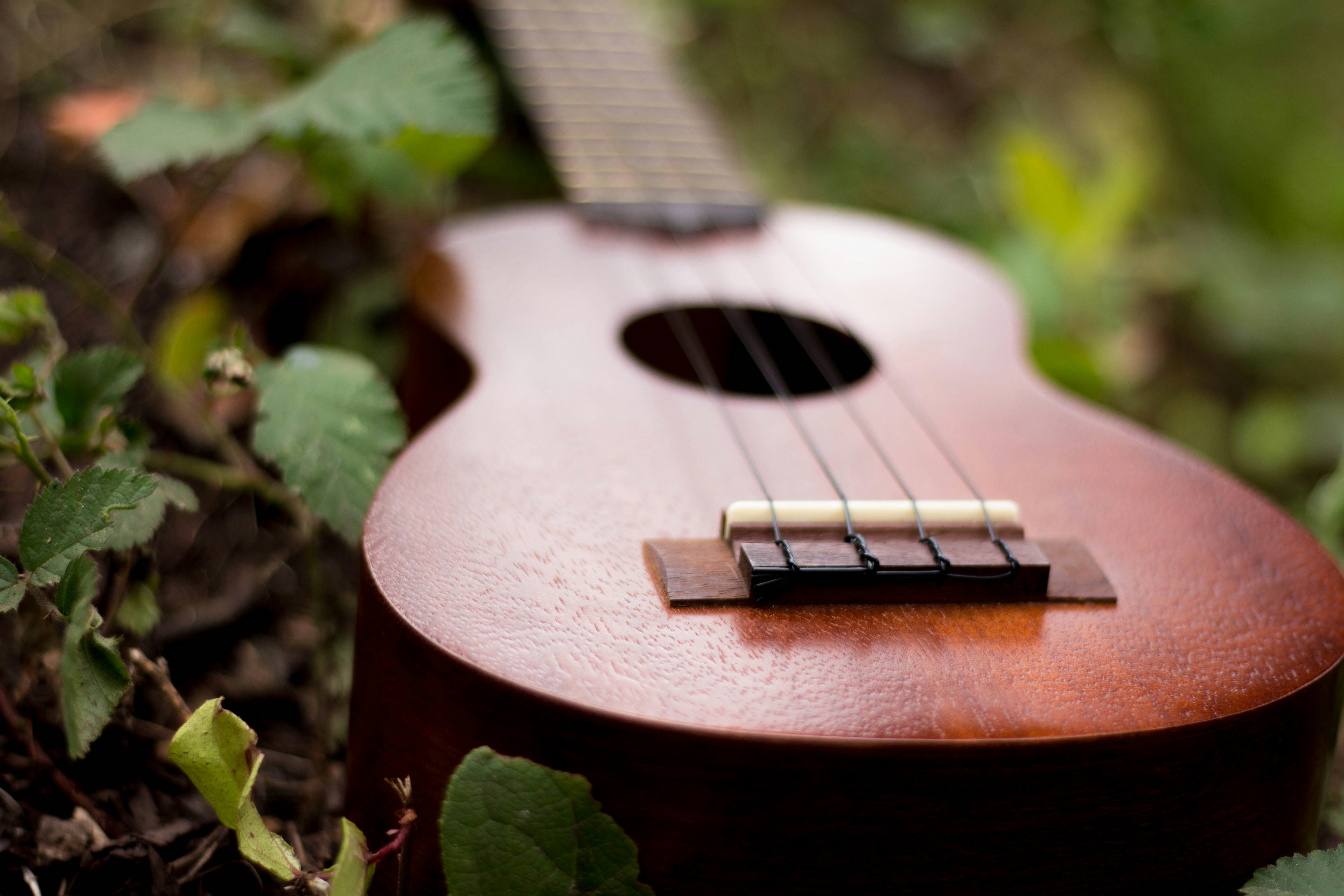 Classic Mahogany Ukulele