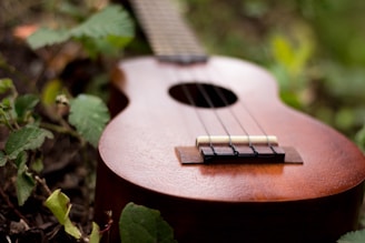 A wooden ukulele is placed against a background of green foliage, with light reflecting softly on its smooth surface. The focus is on the strings and body of the instrument, creating a harmonious blend with the natural setting.
