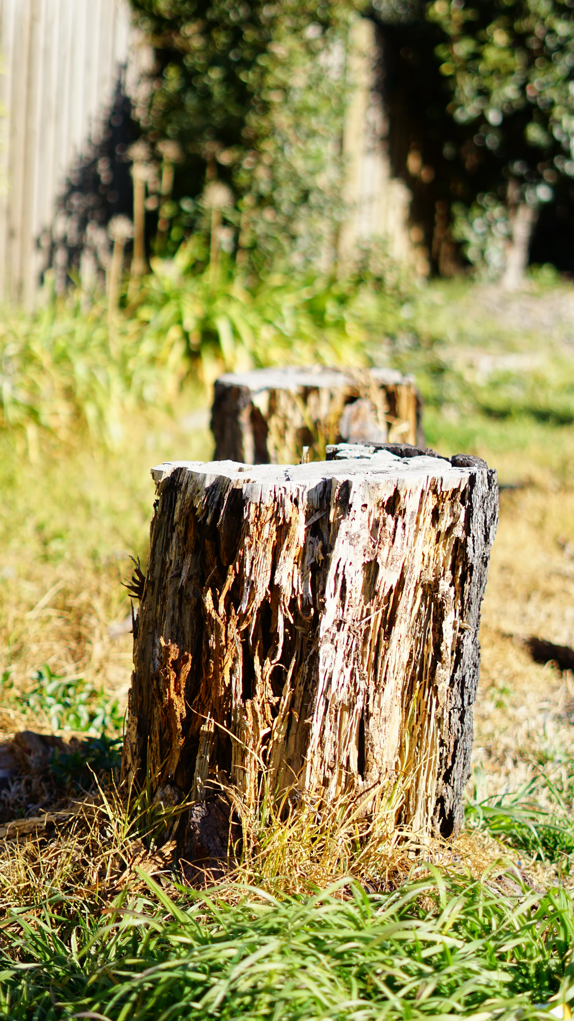 A close-up of a strong tree stump being carefully removed with professional equipment in a lush garden.