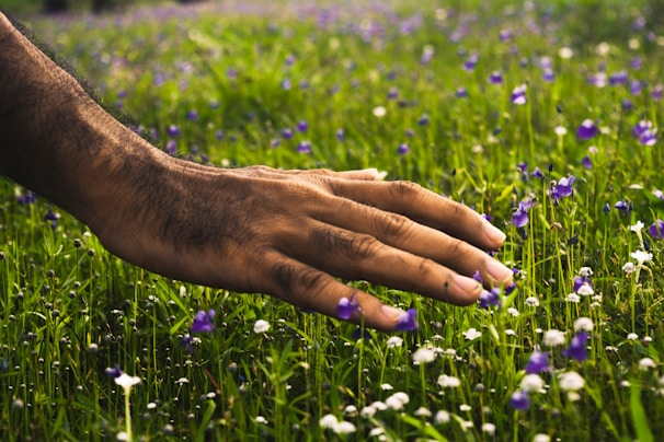 A gentle hand tending to a well-kept grave surrounded by seasonal flowers.