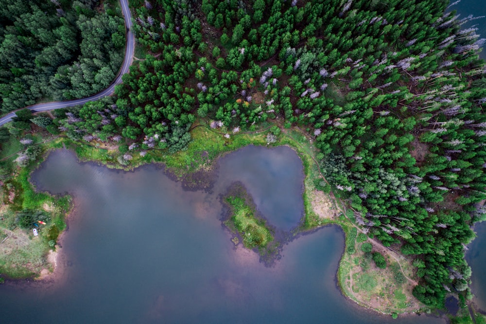 aerial photography of body of water near forest with winding road