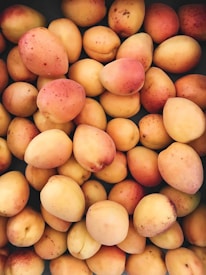 Numerous ripe apricots with varying shades of orange and hints of red are closely packed together. The texture of the fruit skin is smooth with some speckled patterns.