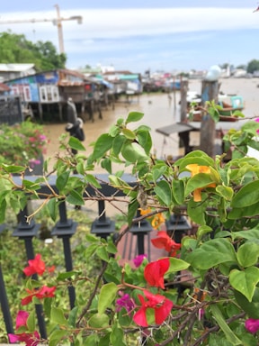 A vibrant mix of red and pink flowers amidst lush green leaves is in the foreground. Behind the foliage, a calm waterway is dotted with rustic wooden houses on stilts, creating a serene village scene. A crane and other construction elements are visible in the background, indicating ongoing development. The sky is overcast, casting a soft light over the landscape.