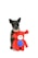 A small black dog stands next to a colorful plush toy. The toy is bright red with a blue belly and blue paws. The dog and toy are set against a plain white background.